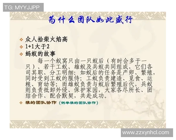 重庆与成都足球队赛后复盘分析团队协作与战术执行的关键因素