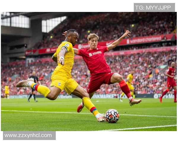 国王队与森林狼队对决分析及比赛展望与关键球员表现解读 国王队与森林狼队对决分析及比赛展望与关键球员表现解读