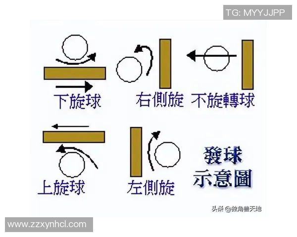 乒乓球的魅力探秘：重庆乒乓球队灵活性背后的训练与技巧解析