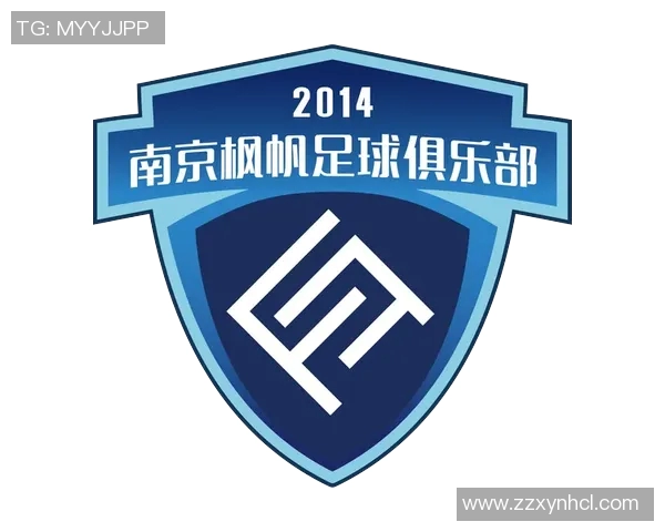 南京足球队运营策略深度分析与市场发展前景探讨